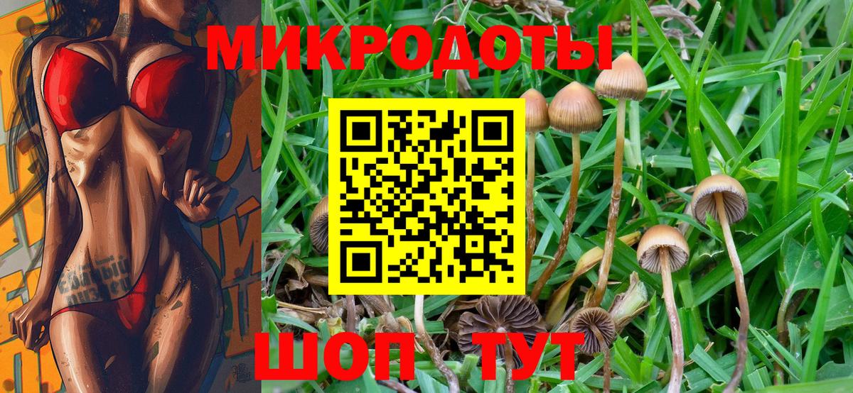 Псилоцибиновые грибы Psilocybe  Галлюциногенные грибы MAGIC MUSHROOMS  как найти закладки  Тихорецк  Вход с VPN 